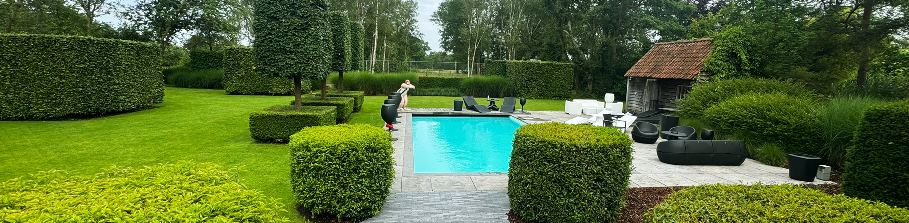zwembad met tuinpad en groene hagen