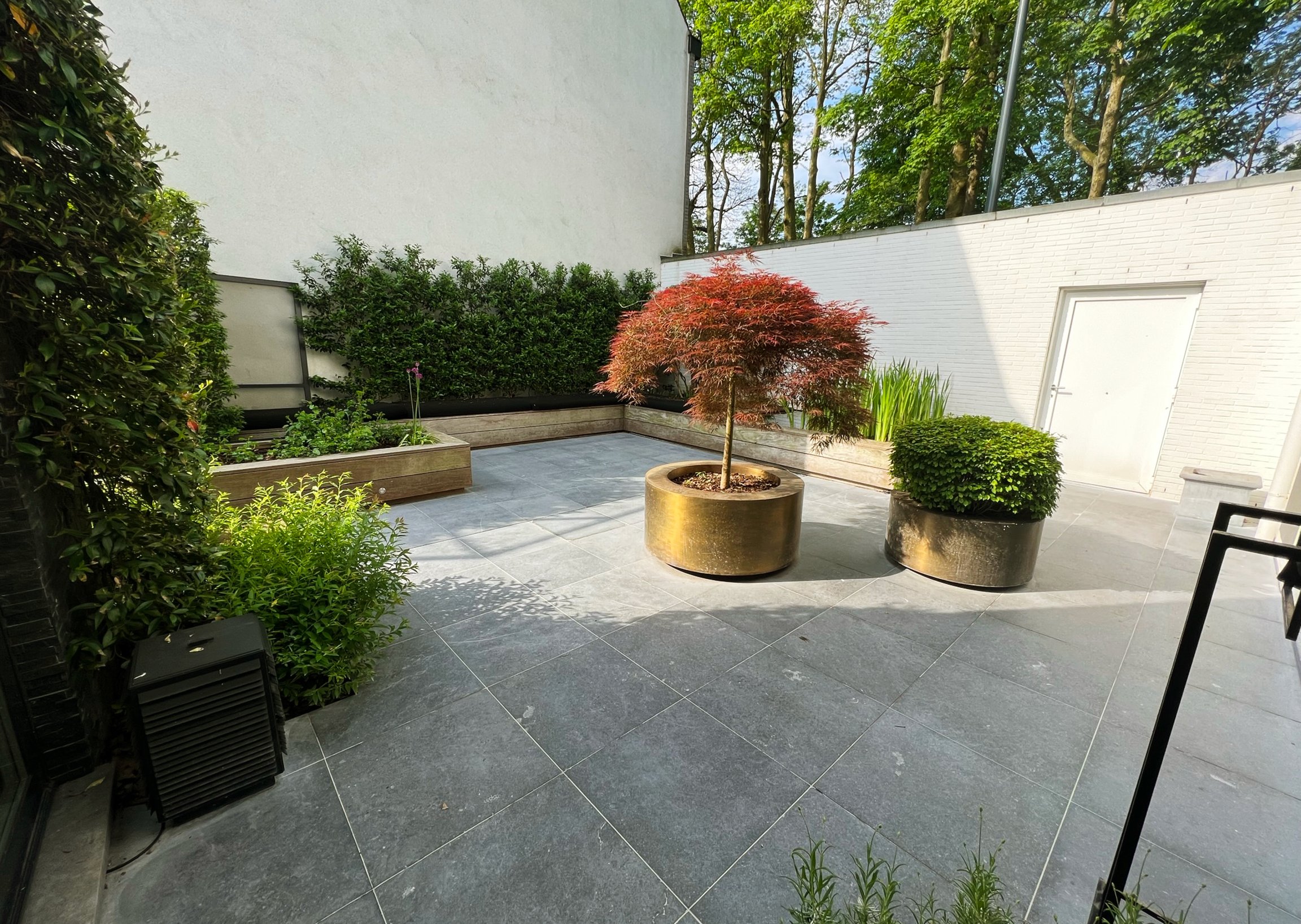 moderne stadstuin met strakke bestrating en sierbomen