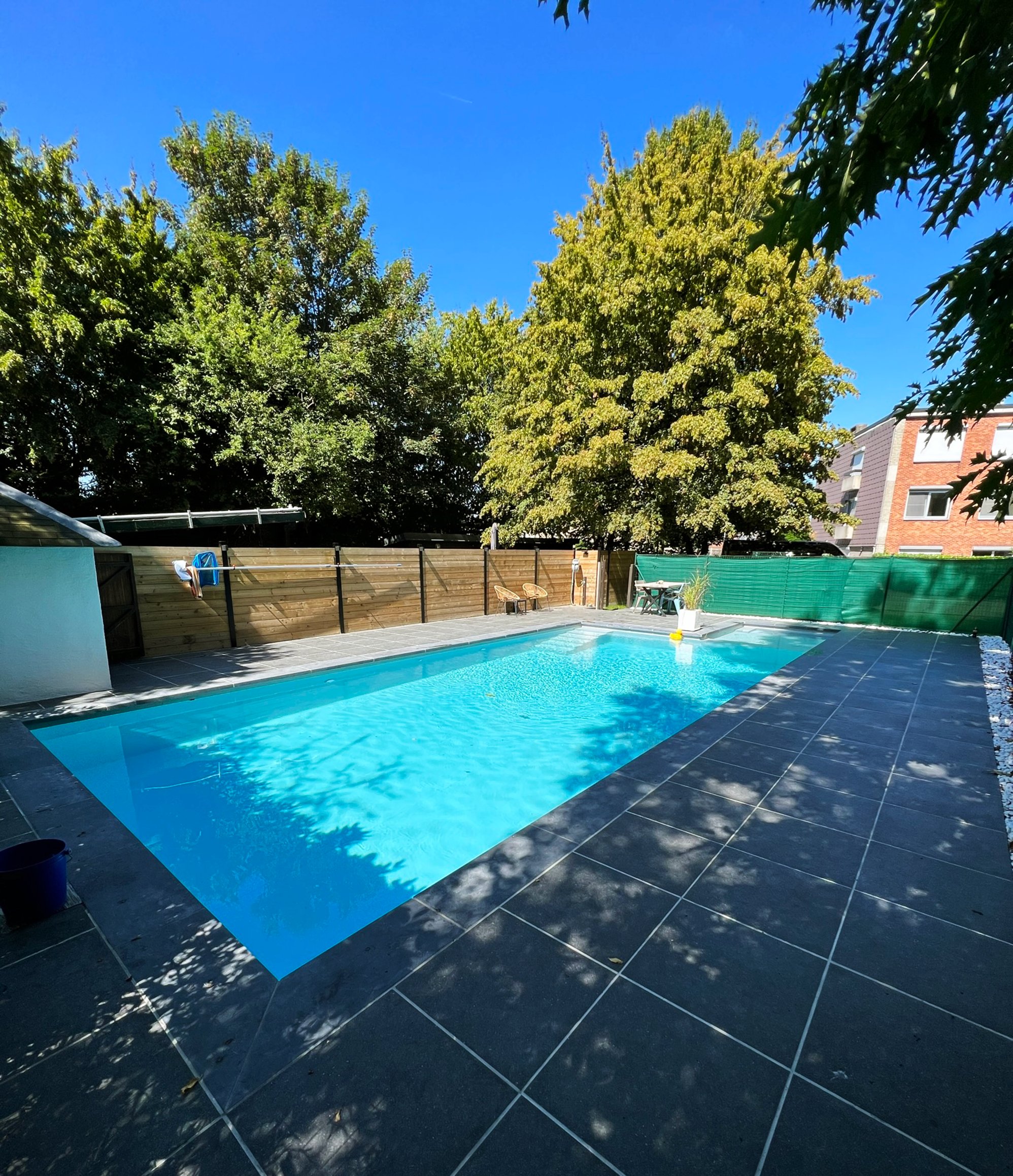 zwembad laten plaatsen moderne tuin